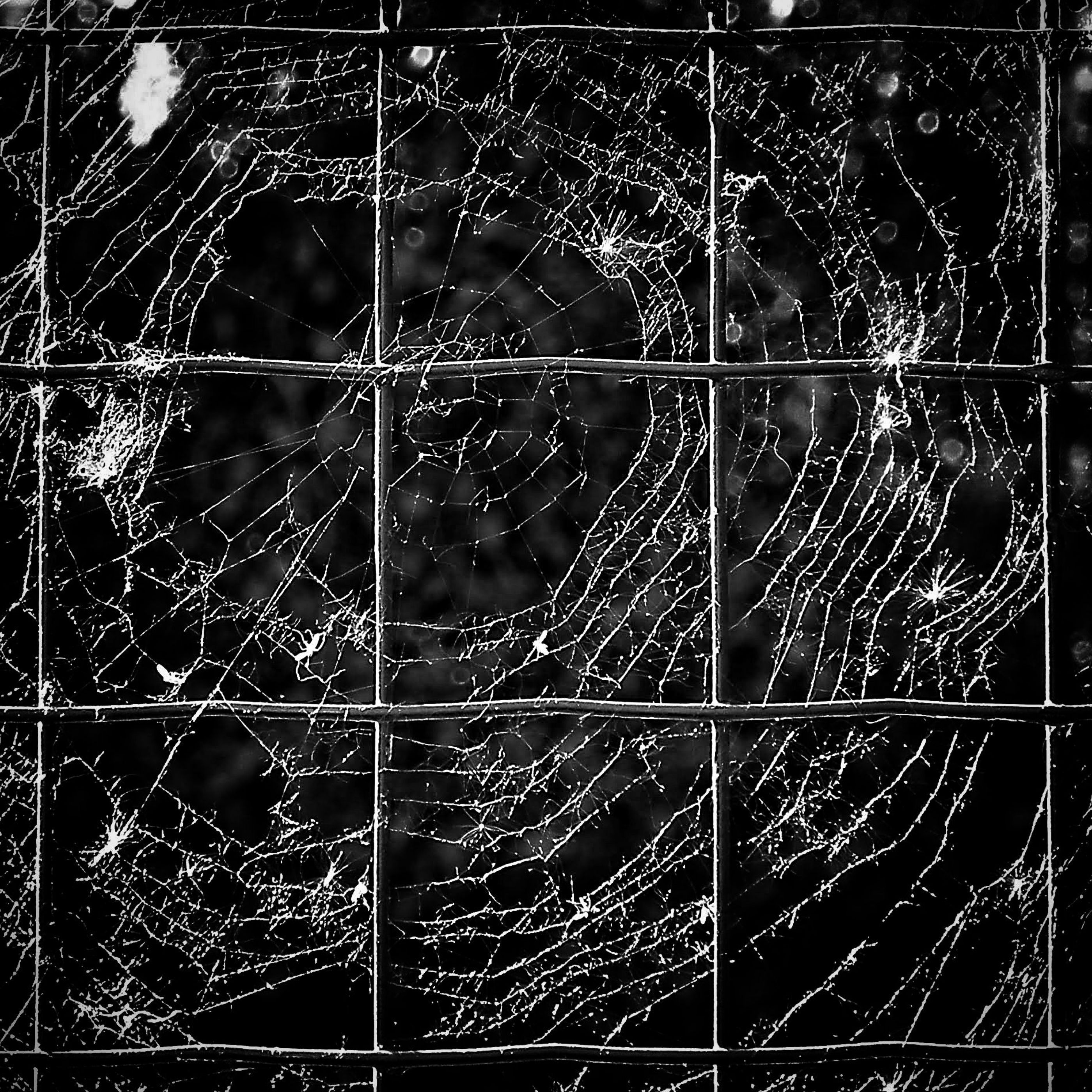 DSCF2730 bw-02